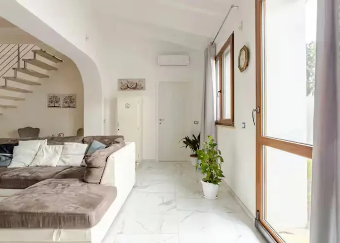 With Garden, Daire *