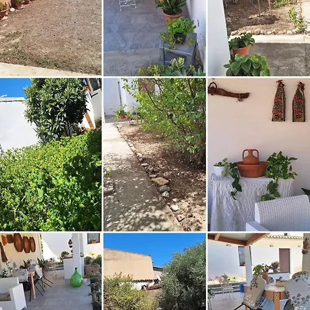 With Garden,