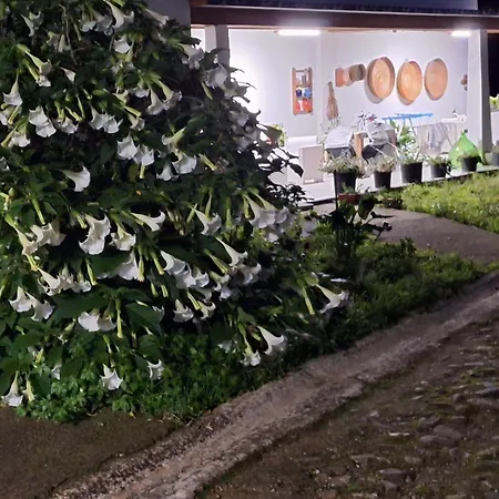 Apartman With Garden,